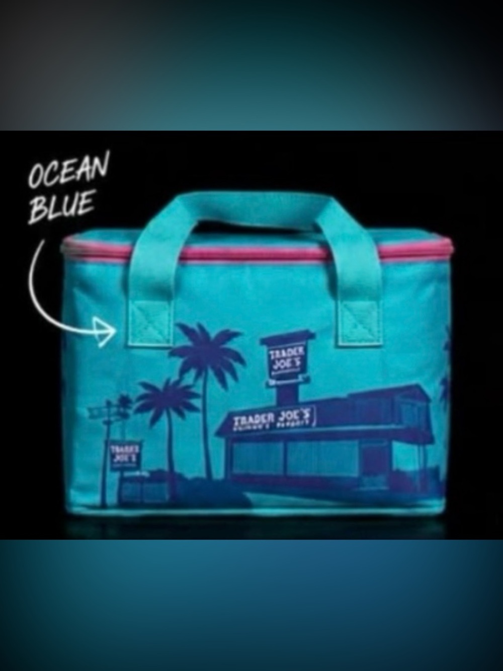 Trader Joe's Ocean Blue Insulated Cooler Bag